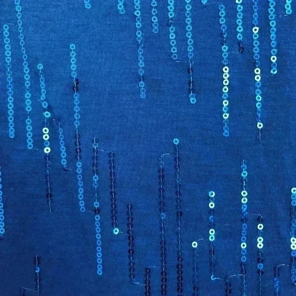 Carol Rose Blue Sleeveless Sequin Top  Size Small - Picture 3 of 11